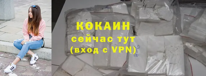 где найти   Порхов  Cocaine FishScale 